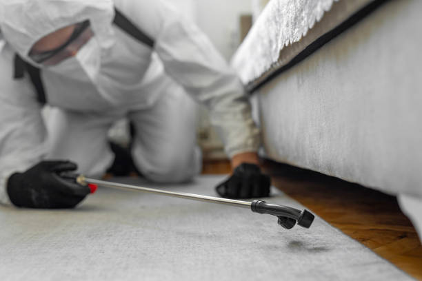 Professional Mosquito Control technician working in Townsend, MT