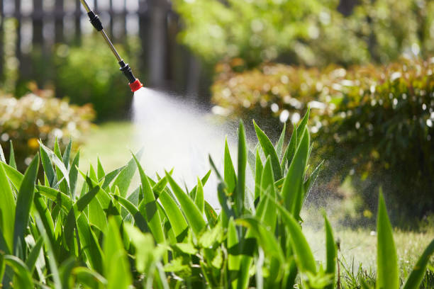 24/7 Emergency Mosquito Control experts in Townsend, MT